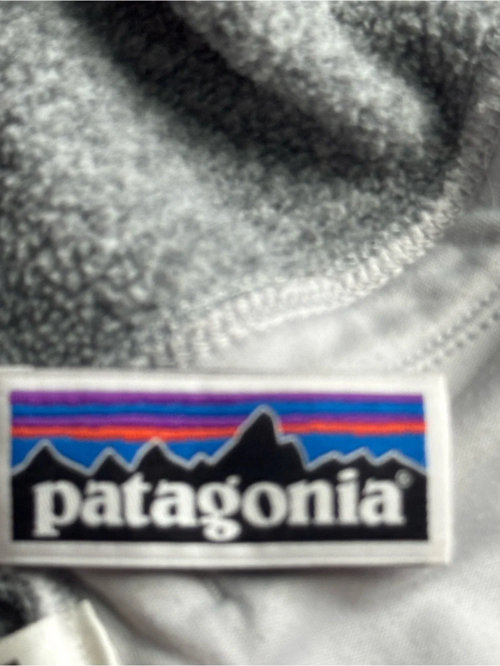 Patagonia Kids Gray Hooded Puffer Jacket